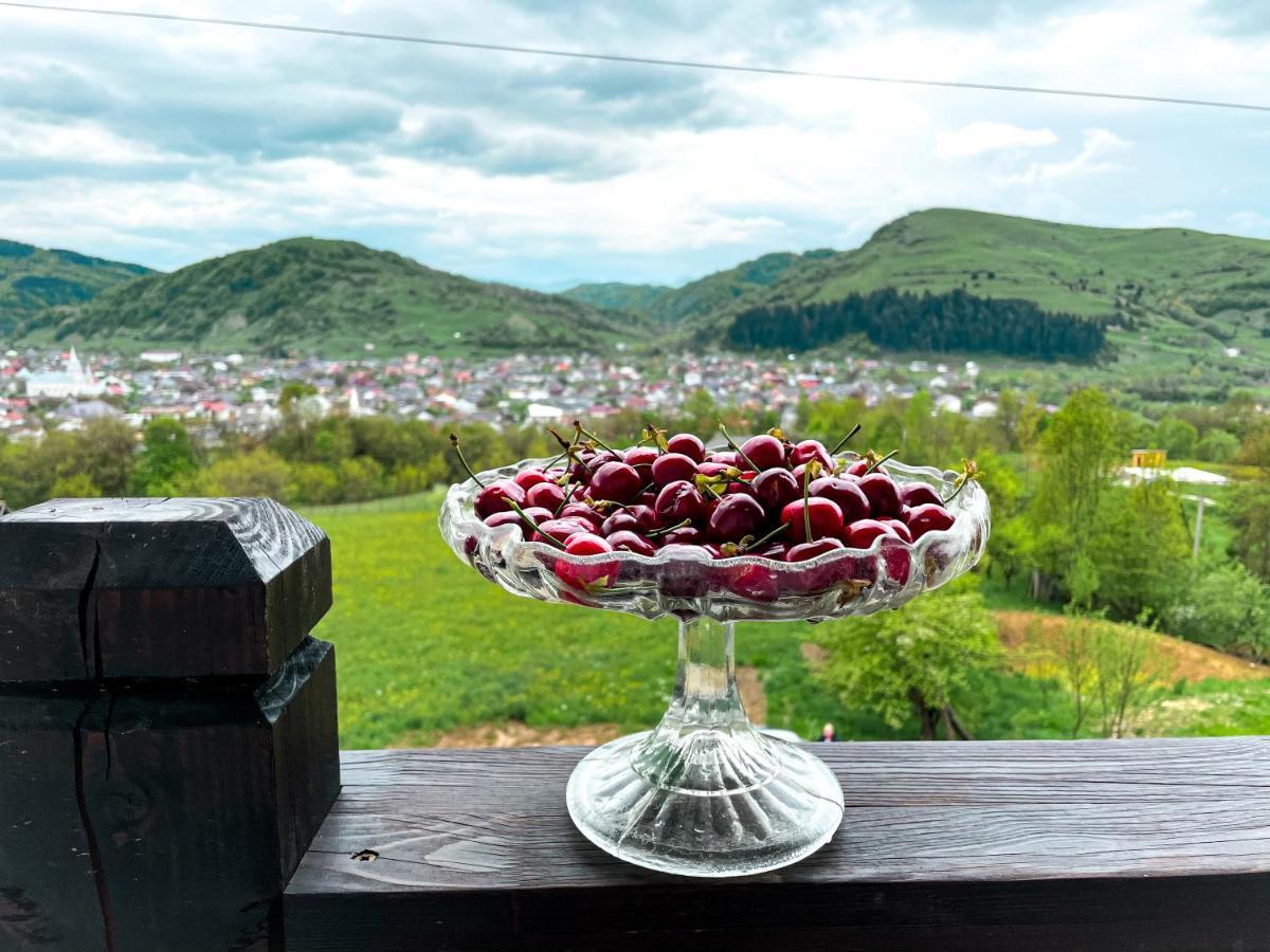 Panoramic Sus In Deal Viseu de Jos Eksteriør bilde